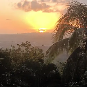  Hébergement de vacances Martinique La Petite Maison Dans La Colline